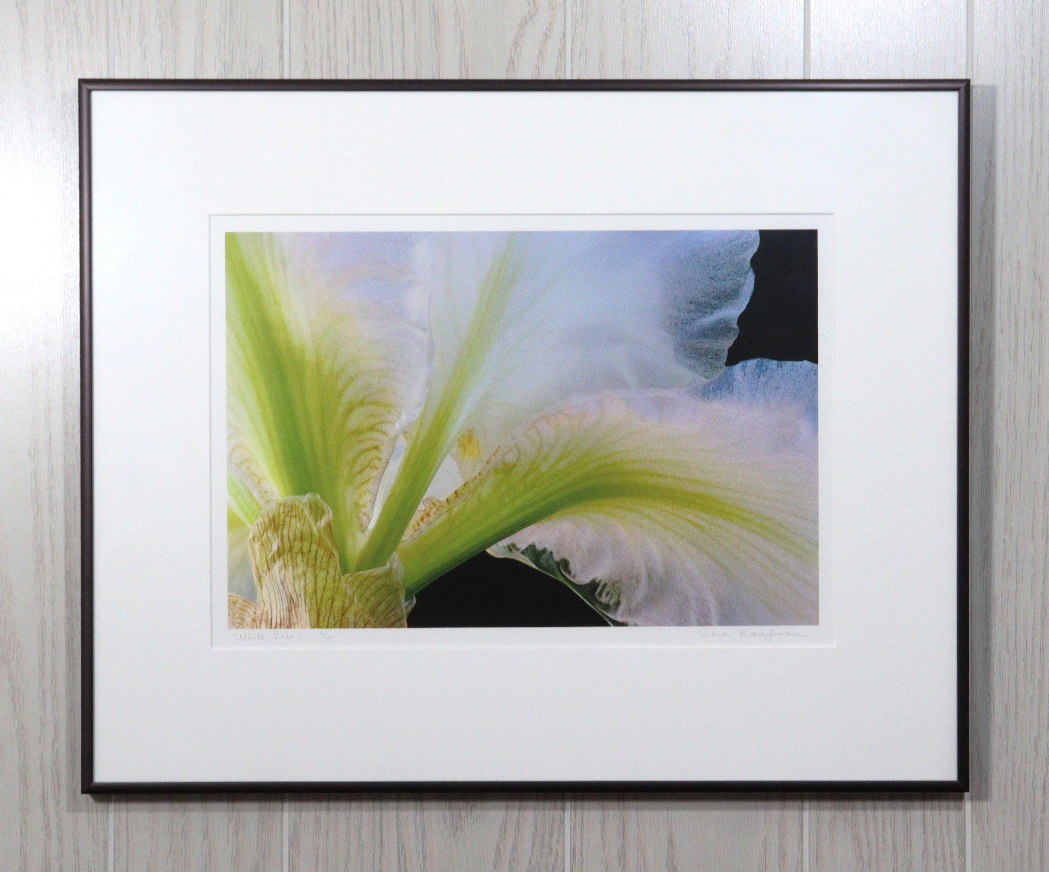 White Iris 1