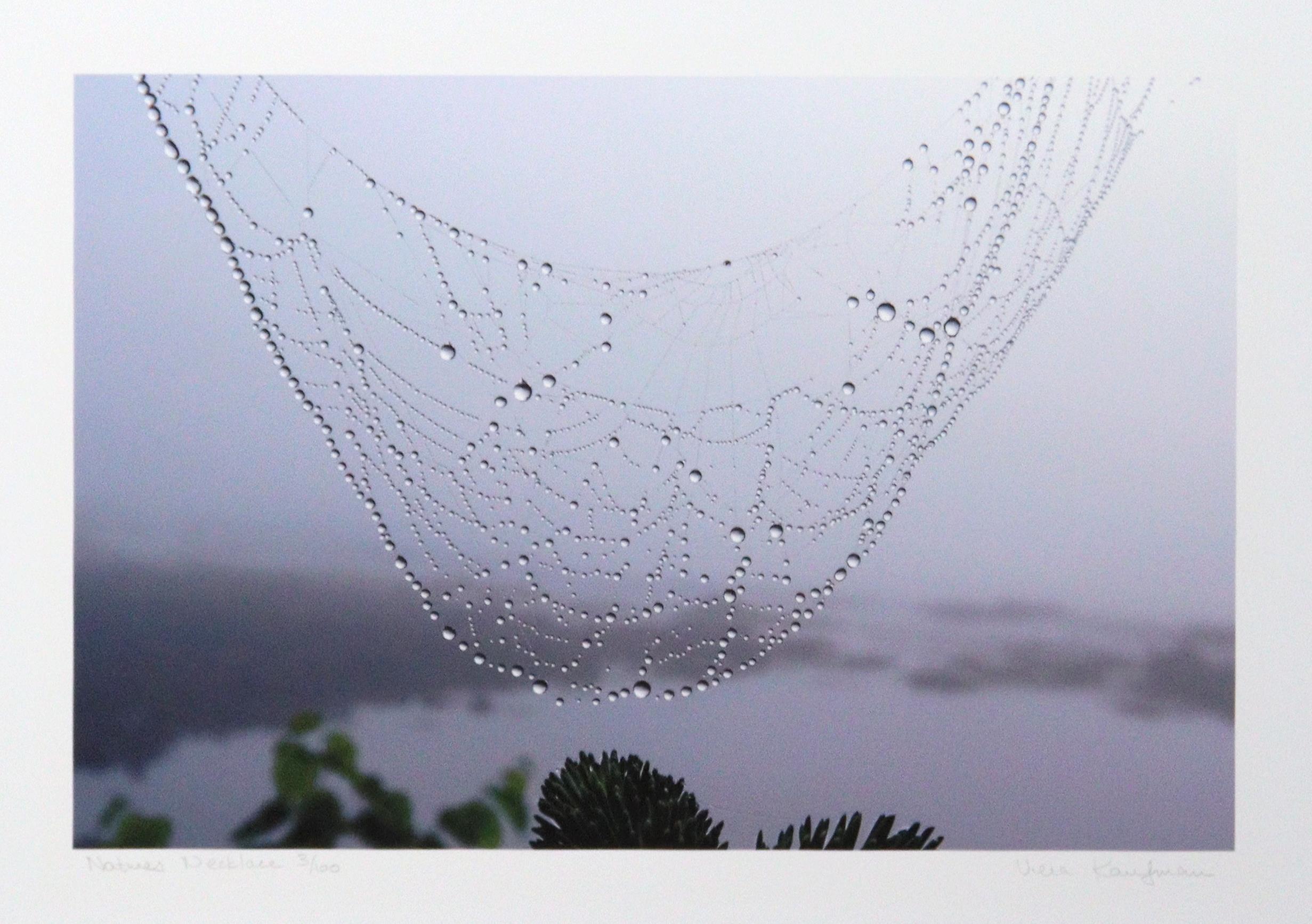 Nature's Necklace
