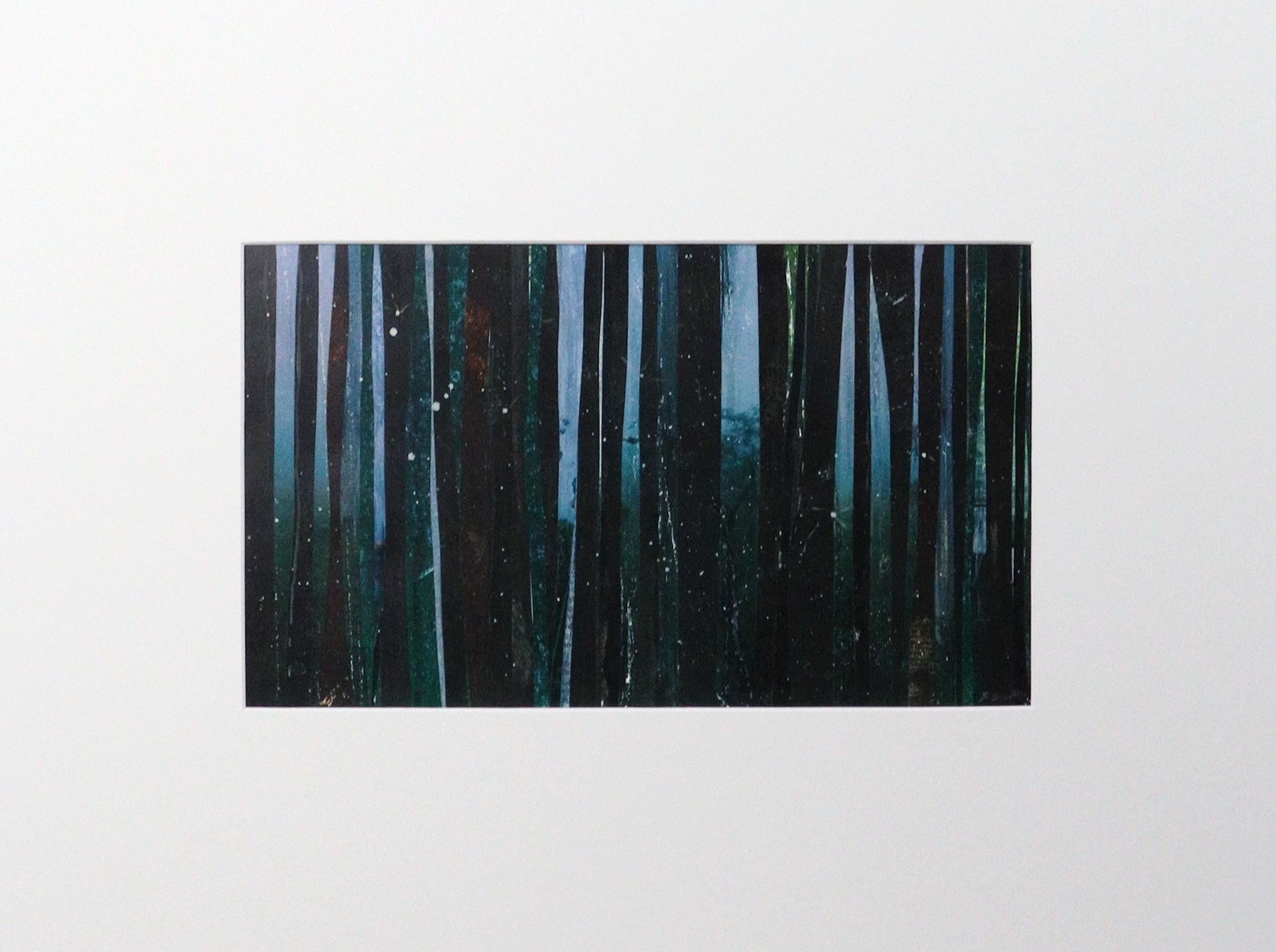 Matted Print