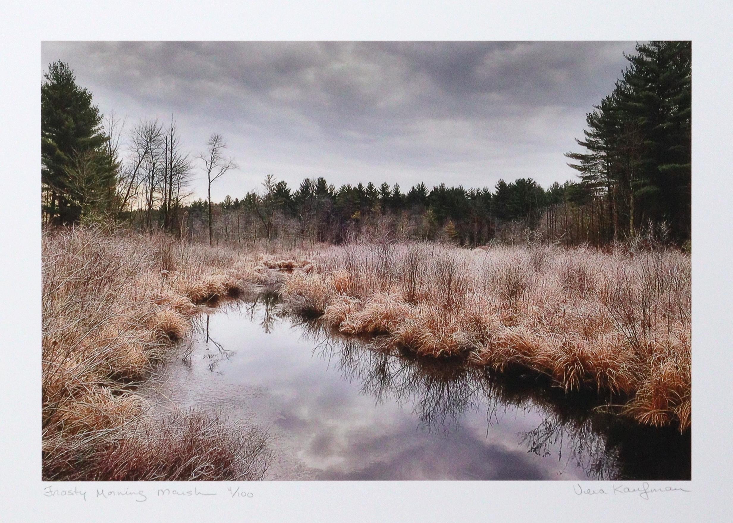 Frosty Morning Marsh