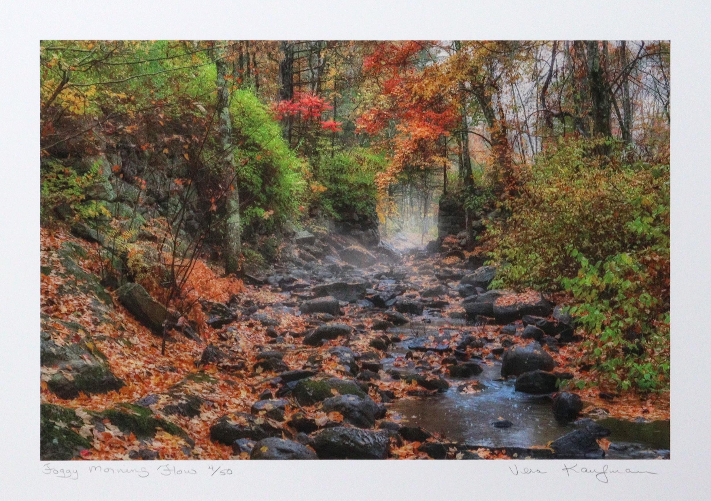 Foggy Morning Flow