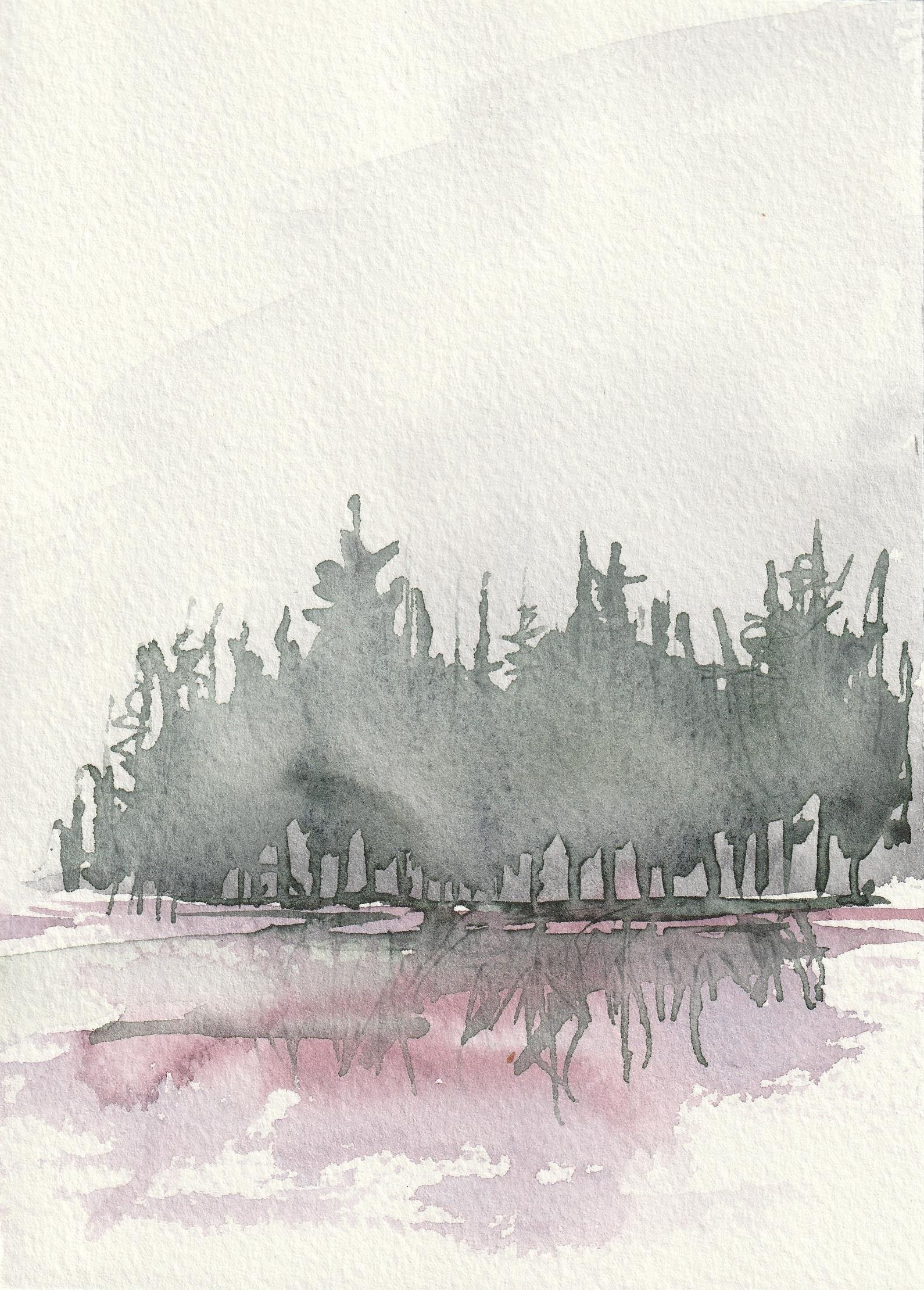 A Rumor of Forests