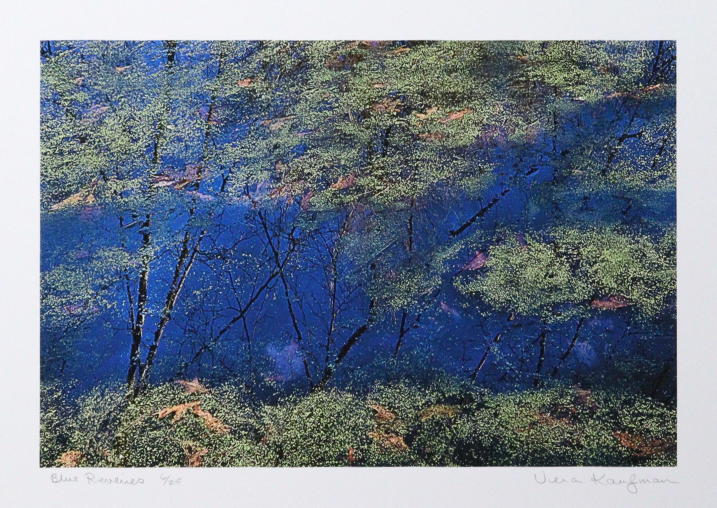 Blue Reveries